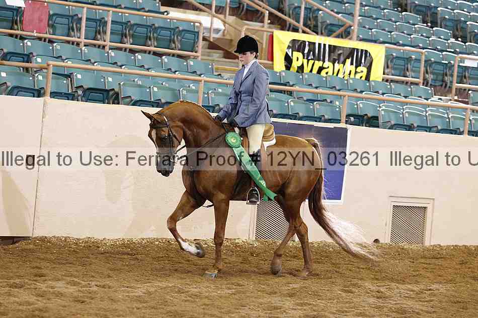 Proof Number 12yn_03261