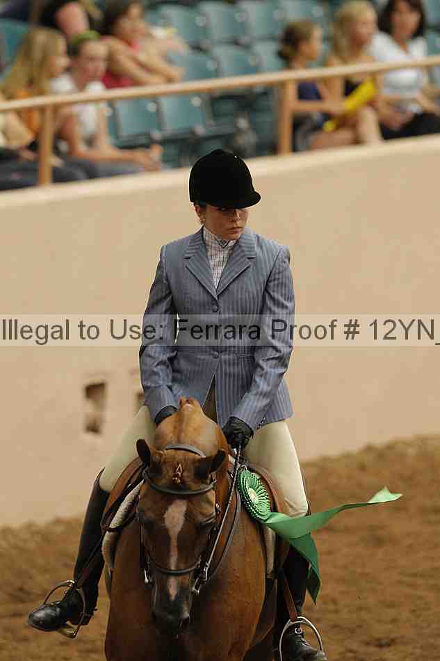 Proof Number 12yn_03273