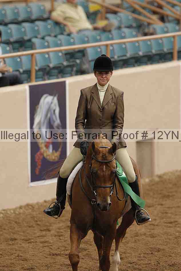 Proof Number 12yn_03278