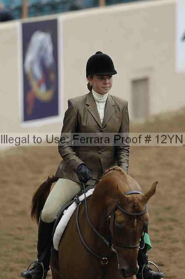 Proof Number 12yn_03279