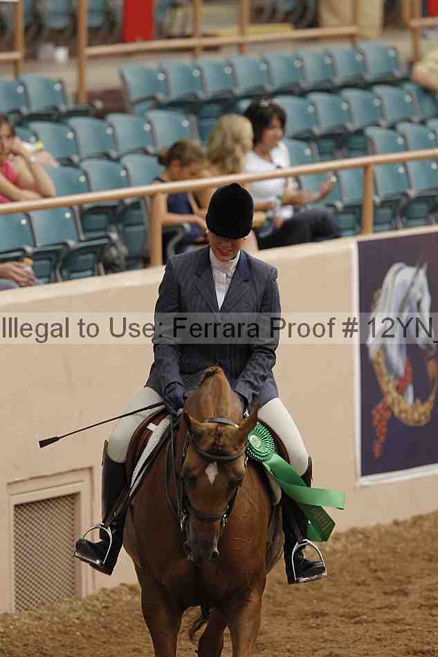 Proof Number 12yn_03285
