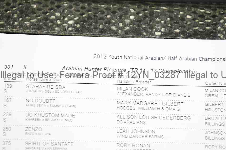 Proof Number 12yn_03287