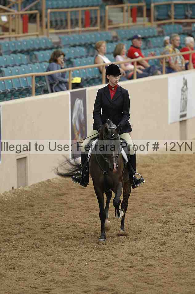Proof Number 12yn_03306