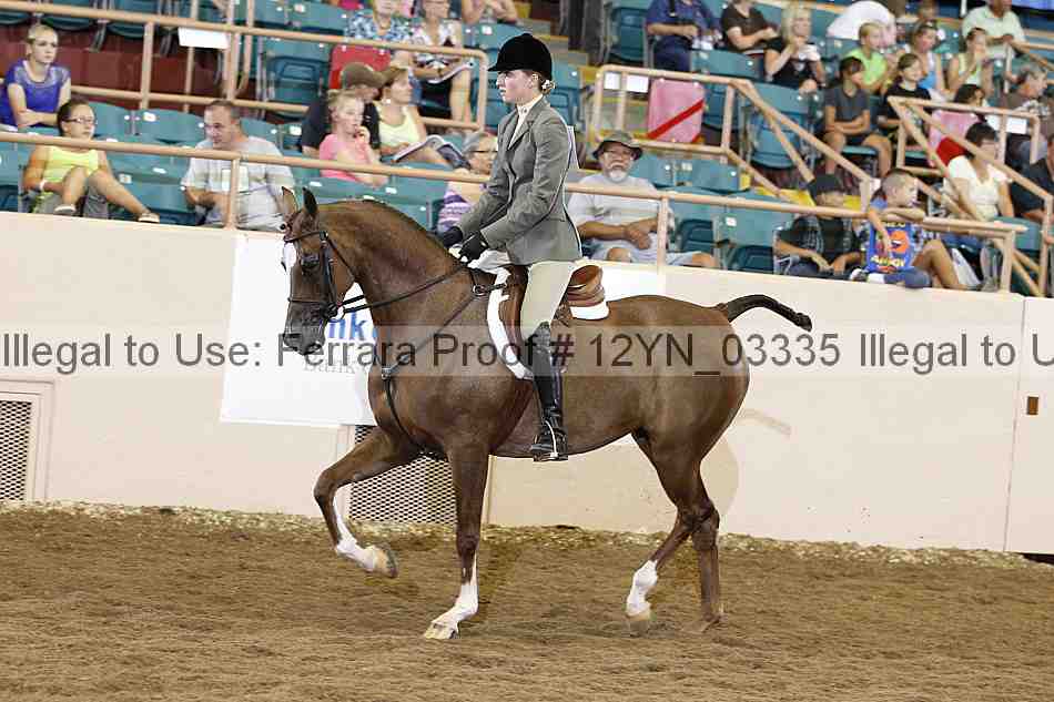 Proof Number 12yn_03335