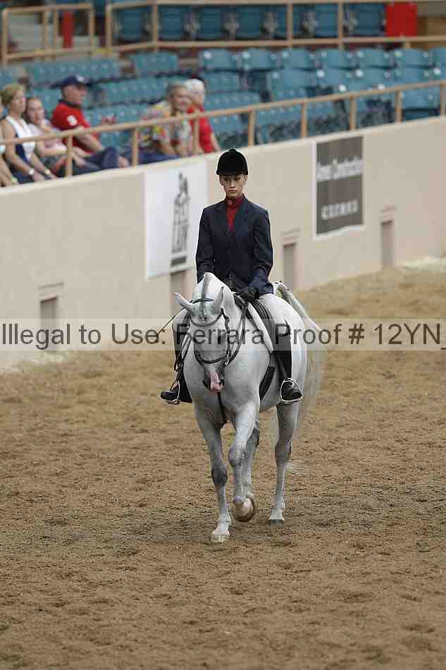 Proof Number 12yn_03336