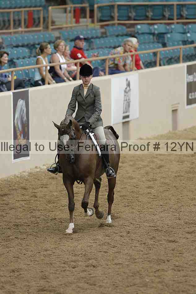 Proof Number 12yn_03341