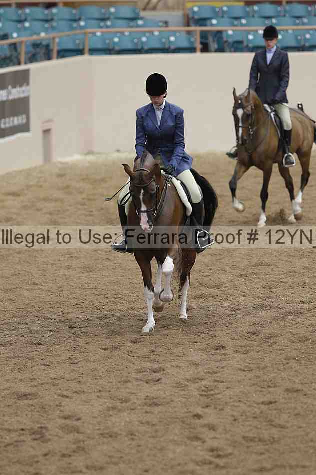 Proof Number 12yn_03347