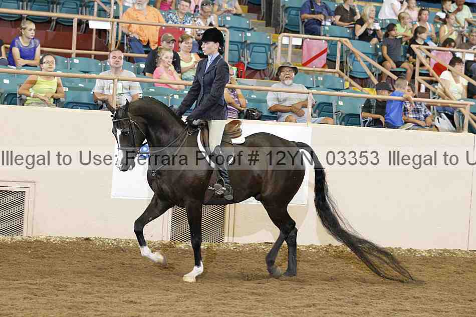 Proof Number 12yn_03353