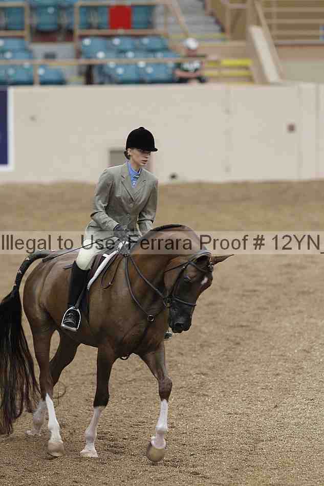Proof Number 12yn_03354