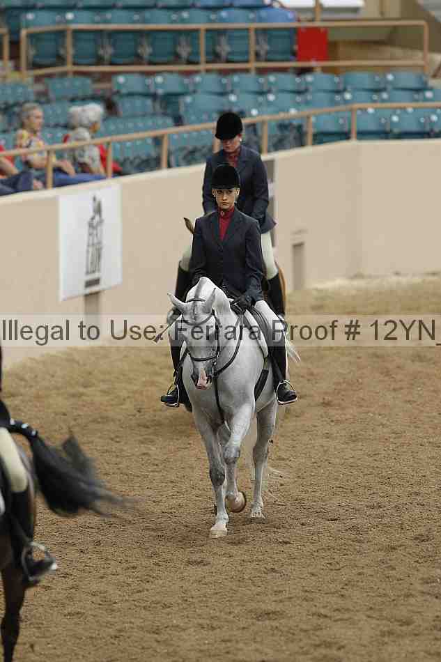 Proof Number 12yn_03356
