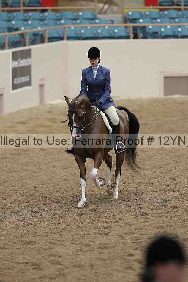 Proof Number 12yn_03364