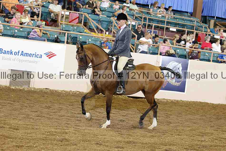 Proof Number 12yn_03408