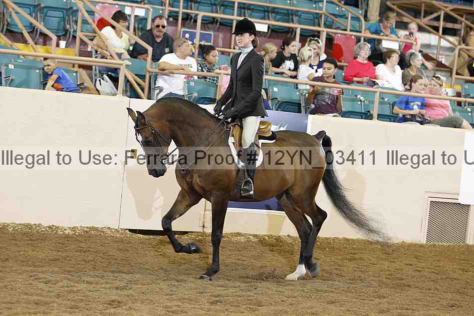 Proof Number 12yn_03411
