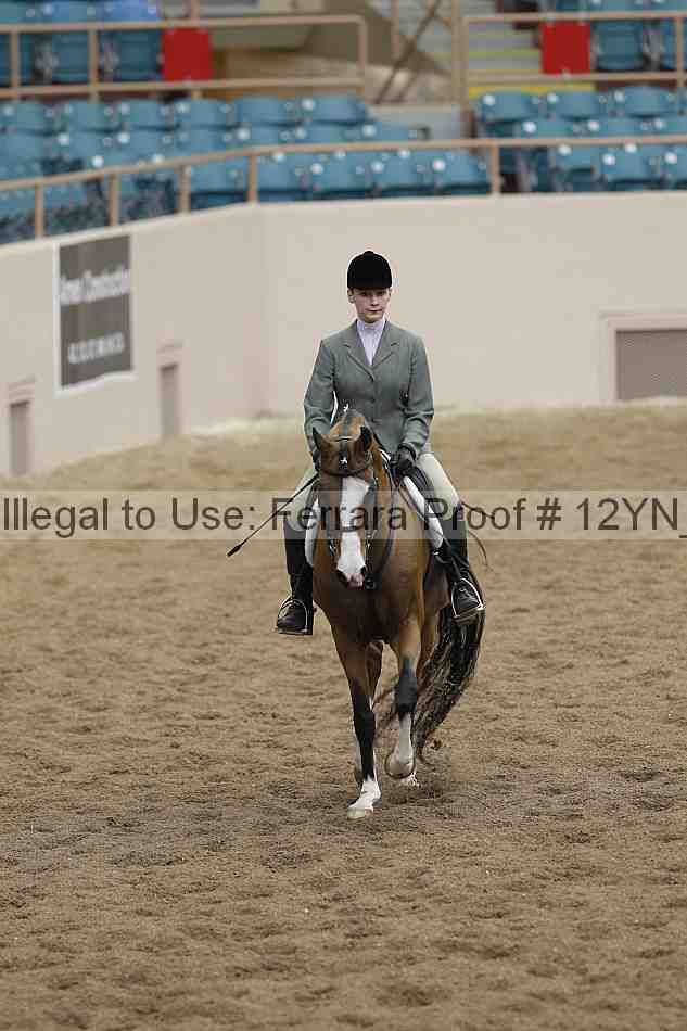 Proof Number 12yn_03419