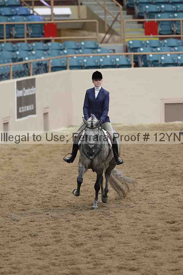 Proof Number 12yn_03426