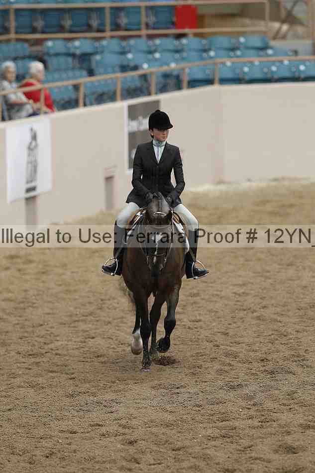 Proof Number 12yn_03433