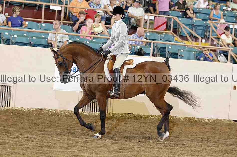 Proof Number 12yn_03436