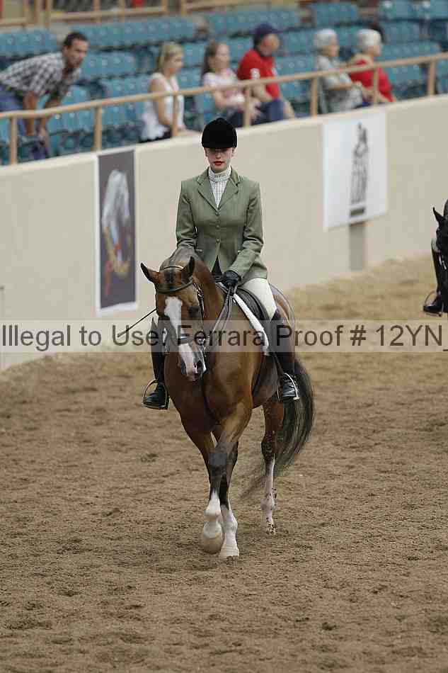 Proof Number 12yn_03448
