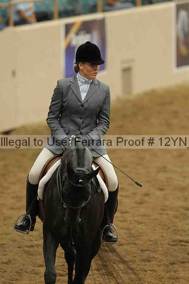 Proof Number 12yn_03449