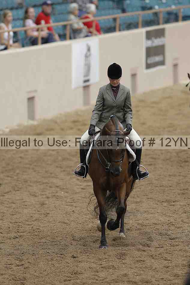 Proof Number 12yn_03453