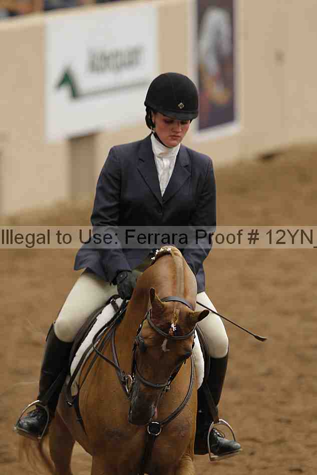 Proof Number 12yn_03454