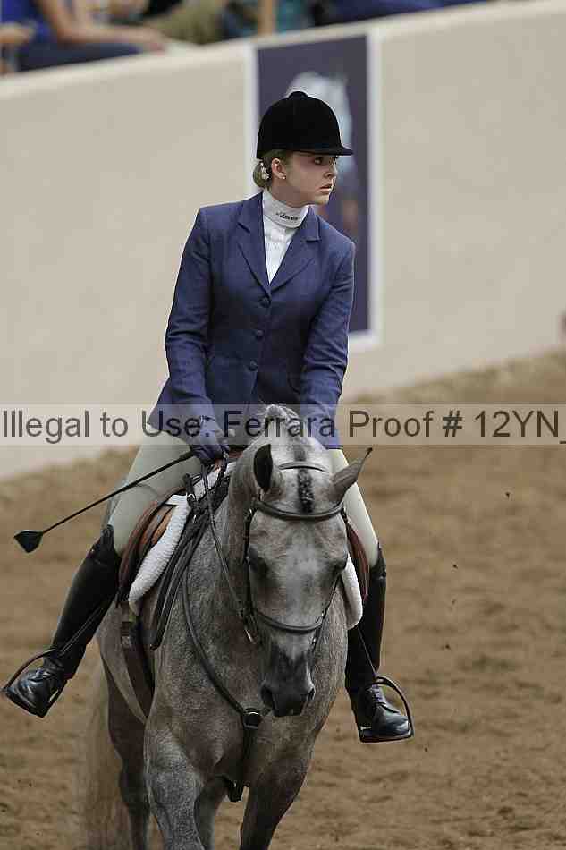 Proof Number 12yn_03455