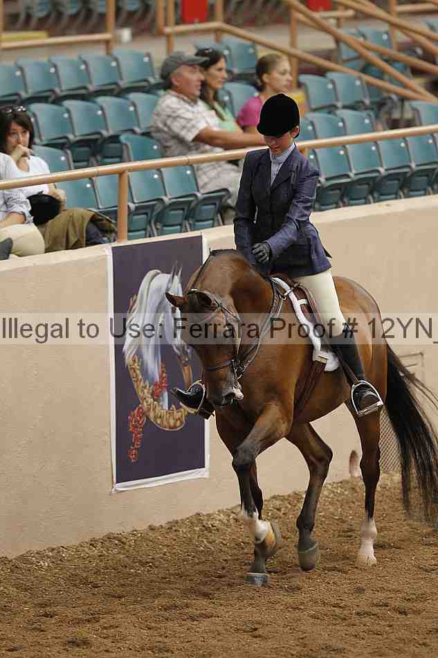 Proof Number 12yn_03465