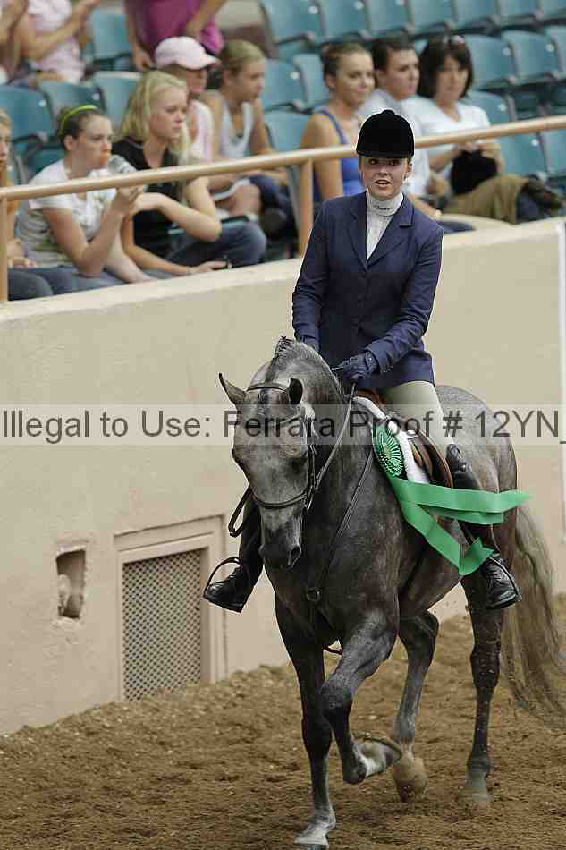 Proof Number 12yn_03479