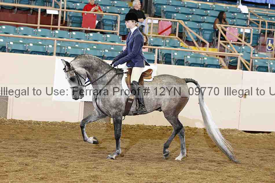 Proof Number 12yn_09770