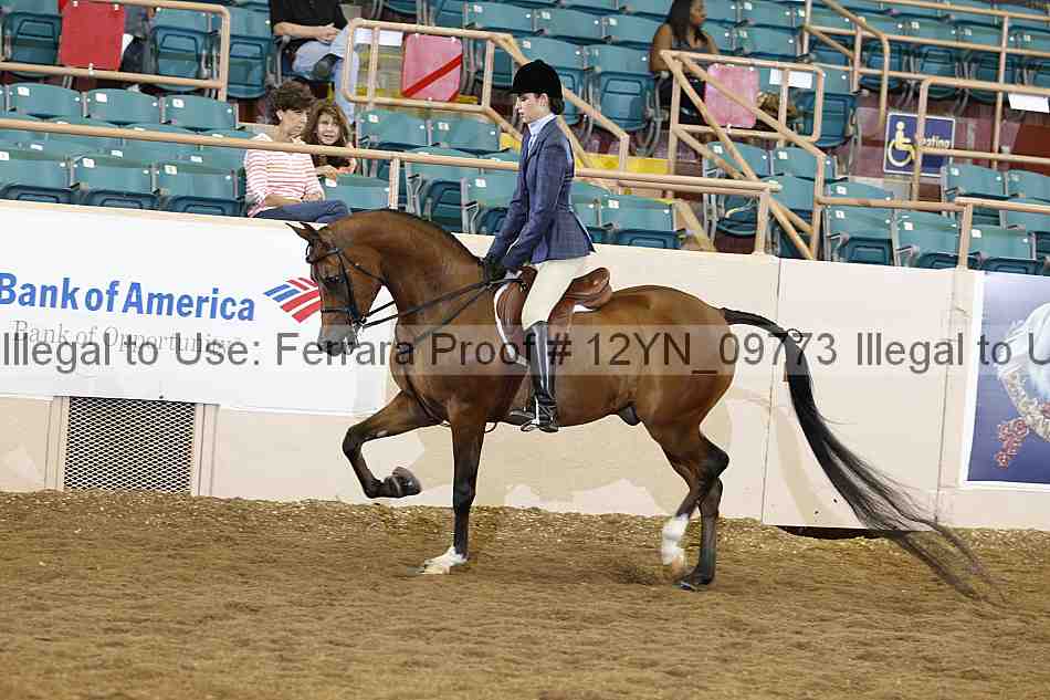 Proof Number 12yn_09773