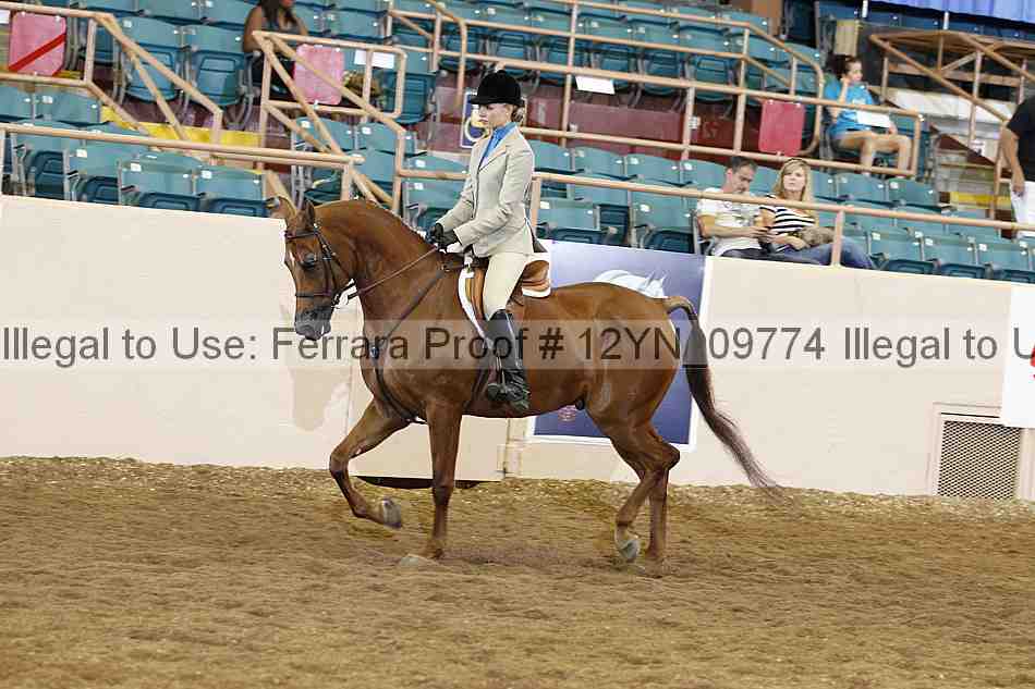 Proof Number 12yn_09774