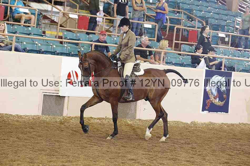 Proof Number 12yn_09776