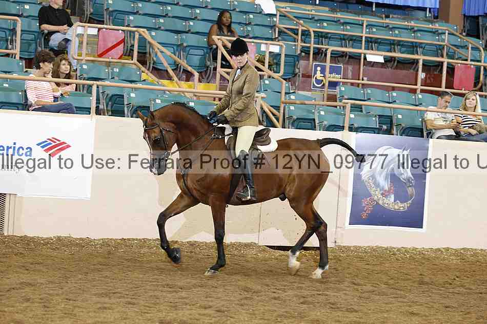 Proof Number 12yn_09777