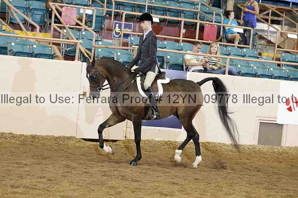 Proof Number 12yn_09778