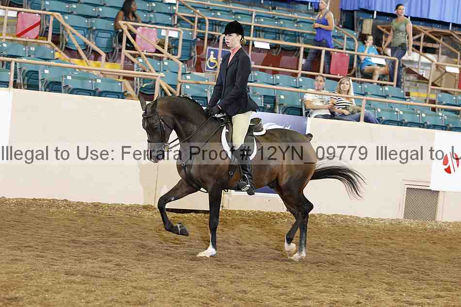 Proof Number 12yn_09779
