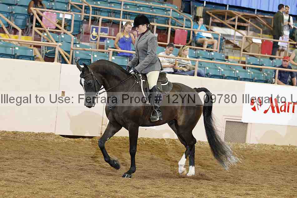Proof Number 12yn_09780
