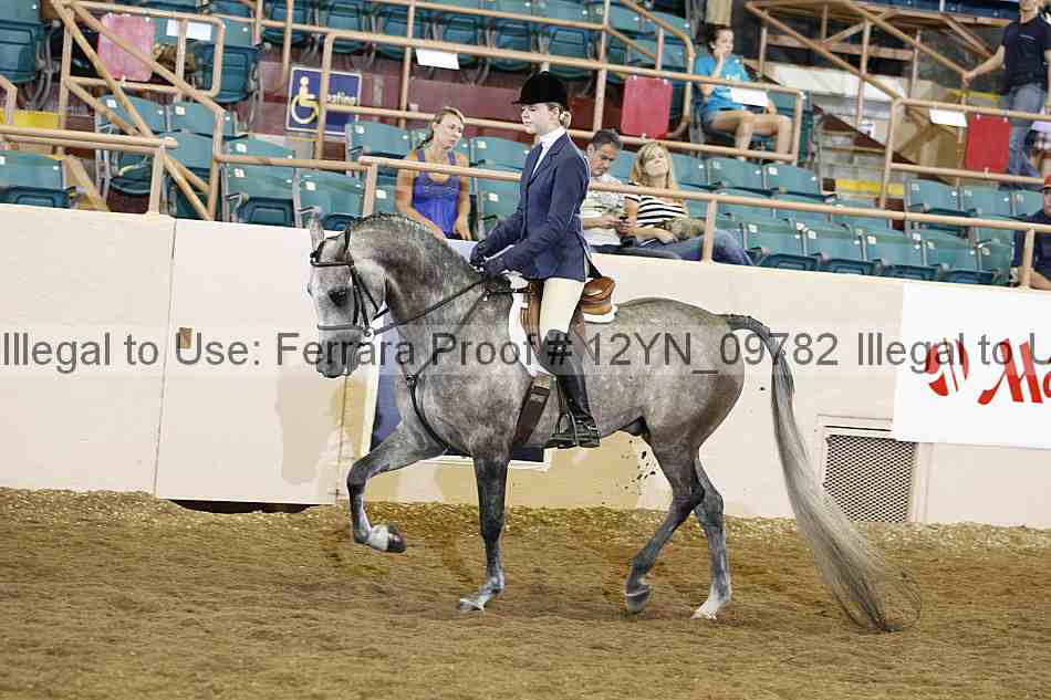 Proof Number 12yn_09782