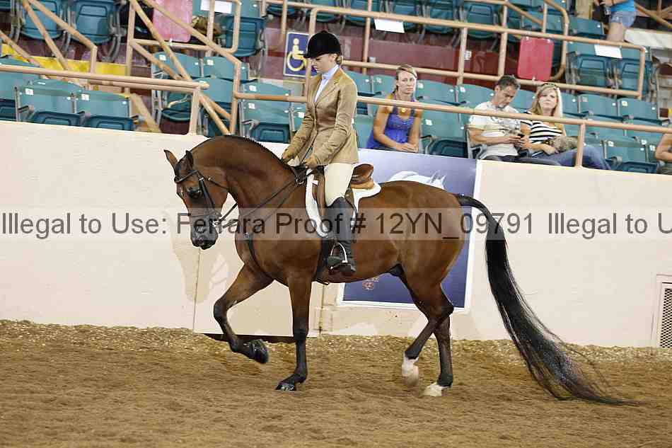 Proof Number 12yn_09791