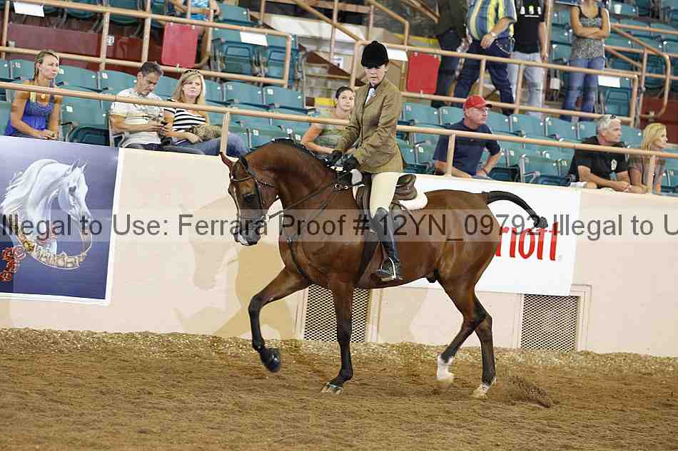 Proof Number 12yn_09792