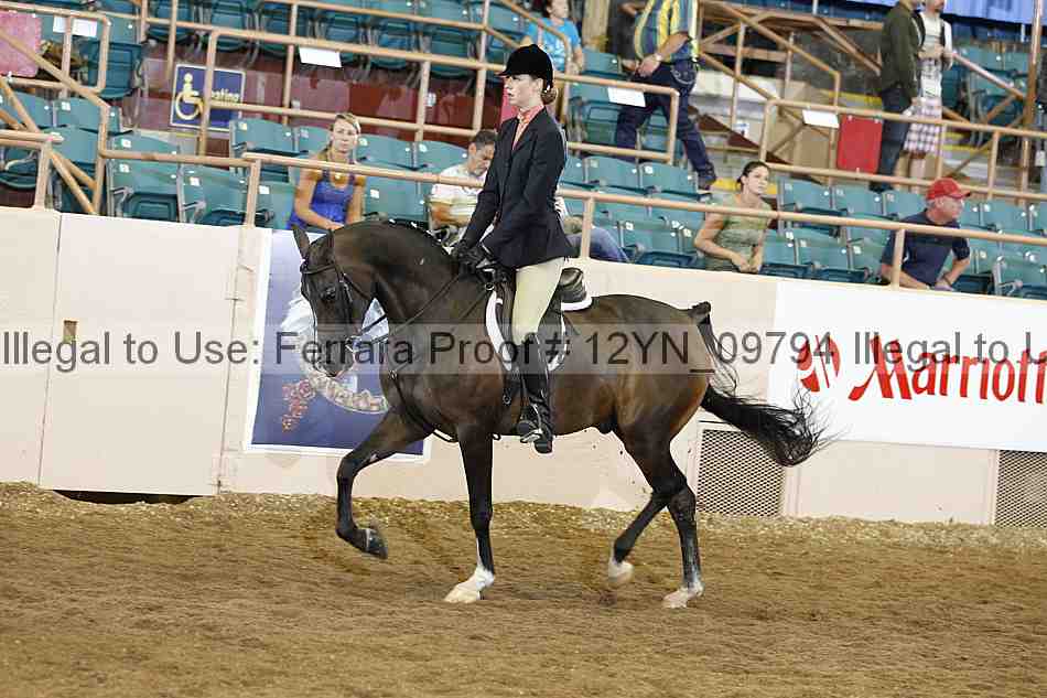 Proof Number 12yn_09794
