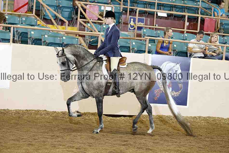 Proof Number 12yn_09800