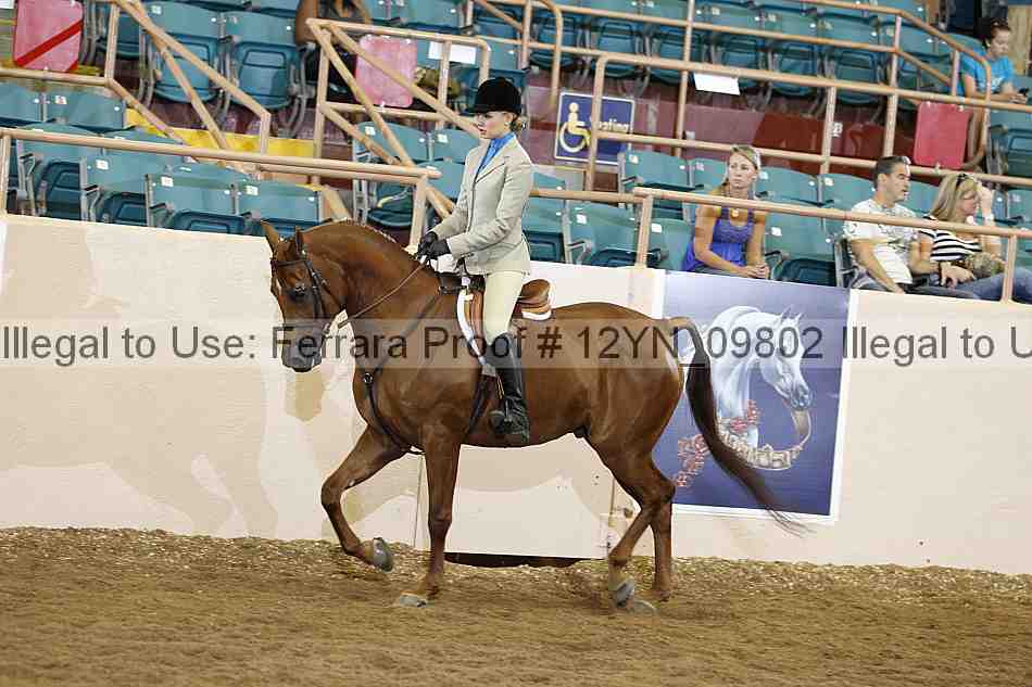 Proof Number 12yn_09802