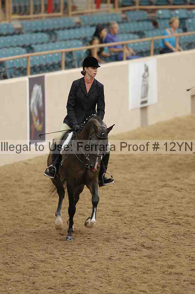 Proof Number 12yn_09803