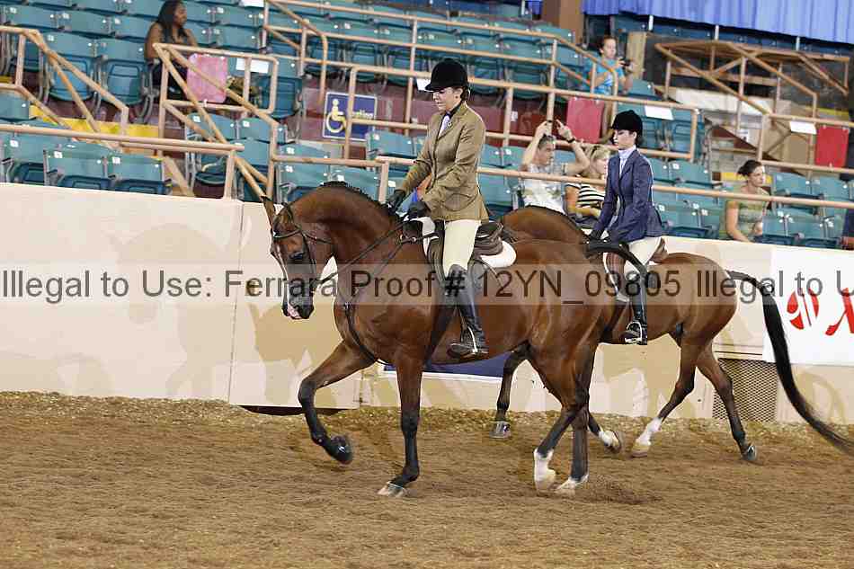 Proof Number 12yn_09805