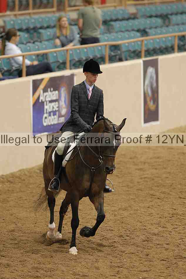 Proof Number 12yn_09807