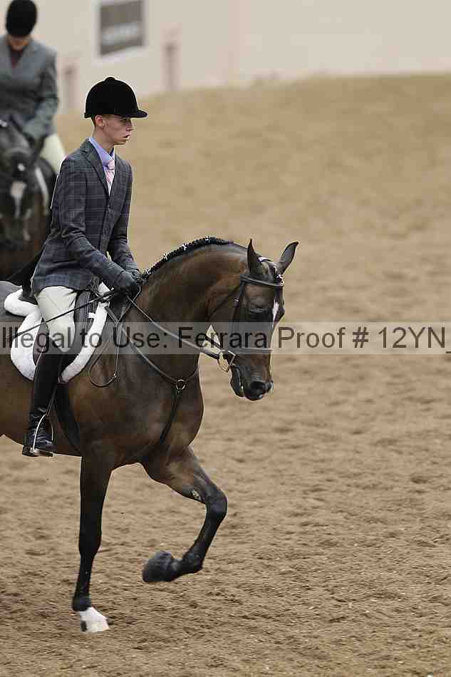 Proof Number 12yn_09808