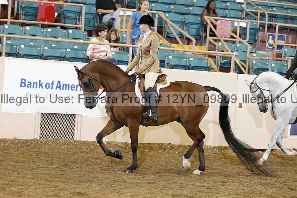 Proof Number 12yn_09809