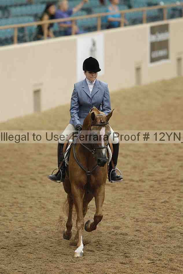 Proof Number 12yn_09813