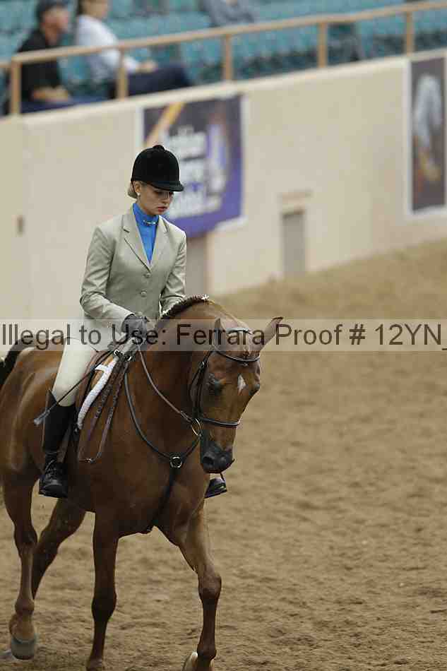 Proof Number 12yn_09814