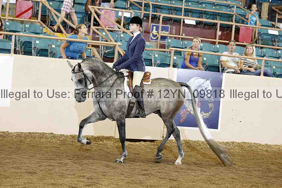 Proof Number 12yn_09818